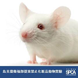 好消息！烏克蘭衛福部提案禁止化粧品動物實驗！