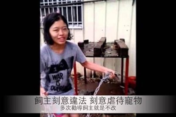 協會新聞稿：颱風天飼主惡意虐狗 台中市動保處消極處理