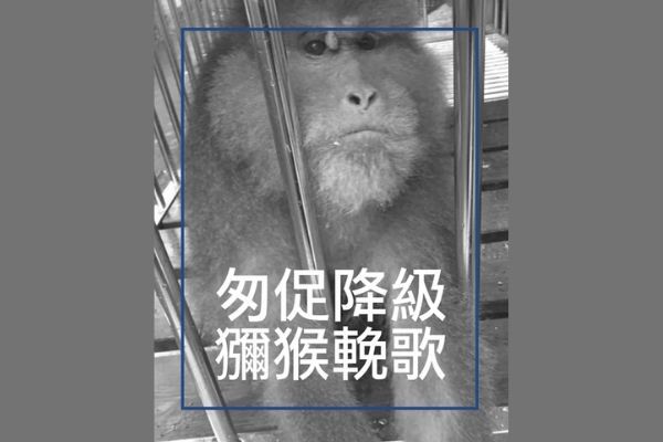 台灣獼猴自保育類野生動物降級事件​之聲明