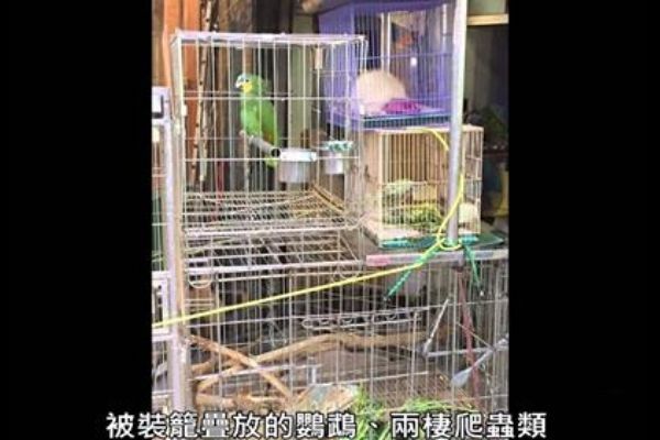 動保團體不當飼養調查案件破千件 ﻿慮野﻿保稽查疏失