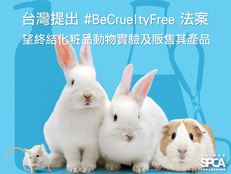 台灣提出 #BeCrueltyFree 法案 望終結化粧品動物實驗及販售其產品