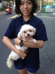 Taiwan SPCA Intern Reflection