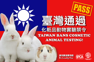 台灣通過讓美麗遠離殘酷法案 禁止化粧品動物實驗 Taiwan bans cosmetics animal testing