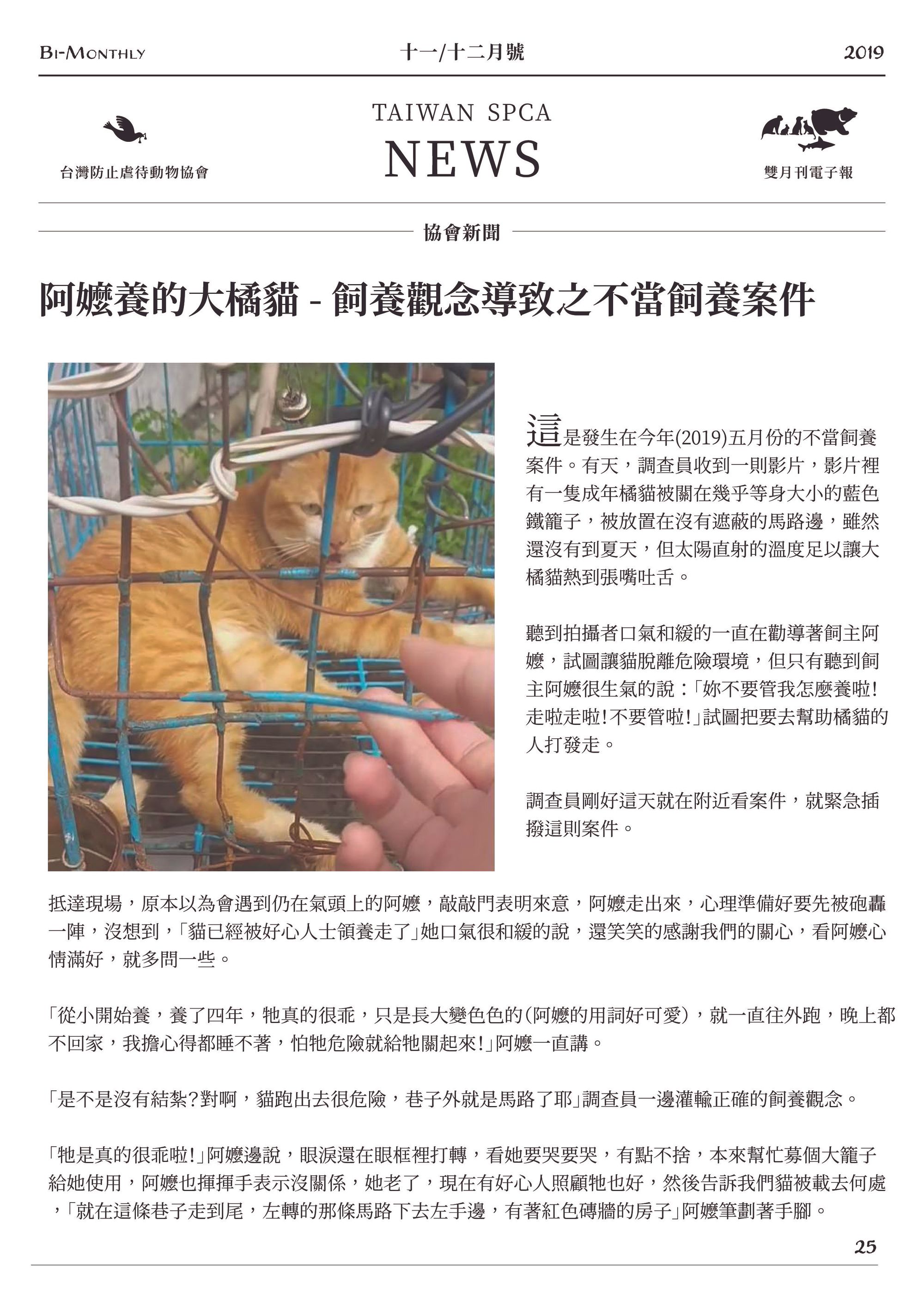 阿嬤養的大橘貓 - 飼養觀念導致之不當飼養案件