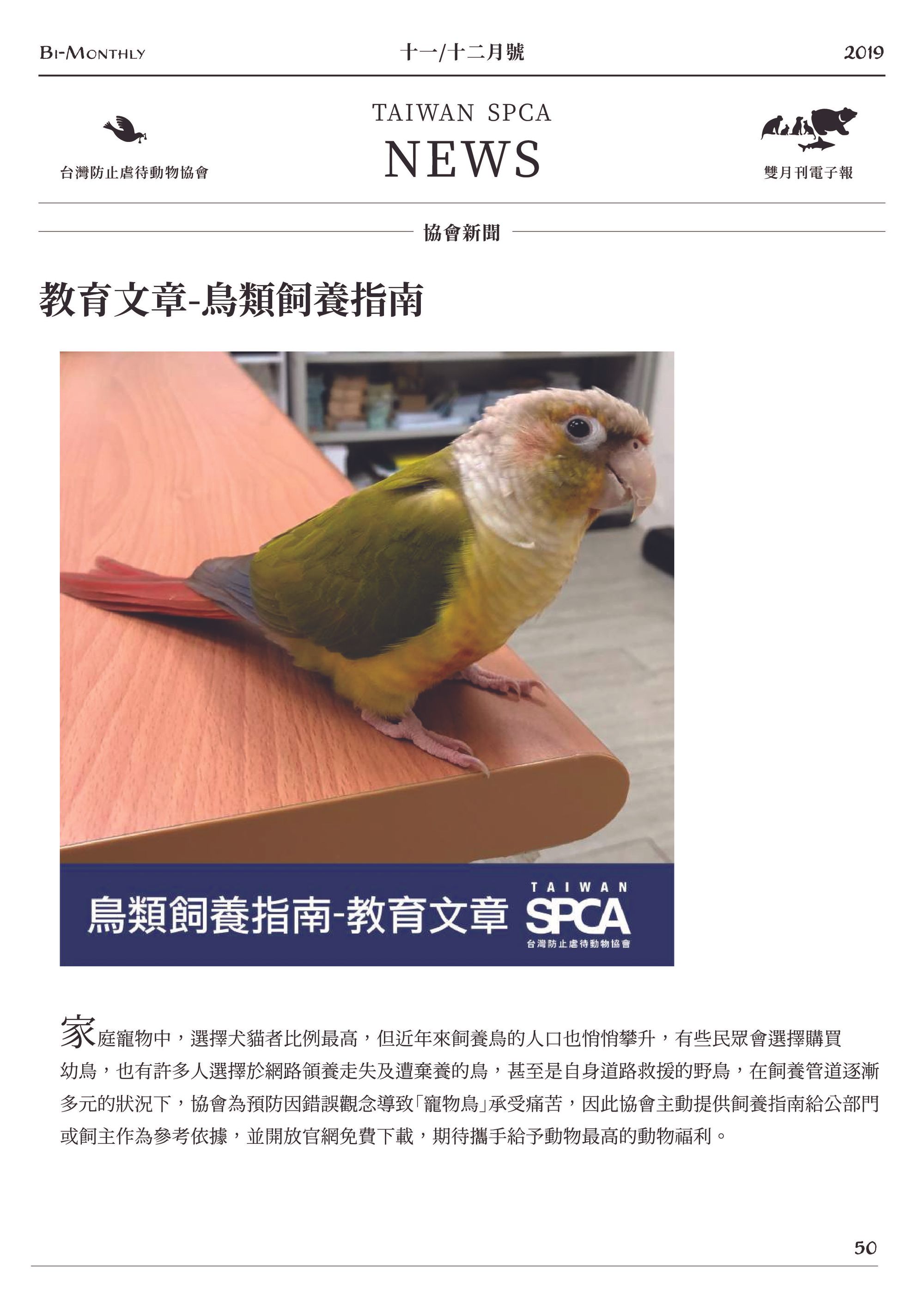 教育文章-鳥類飼養指南