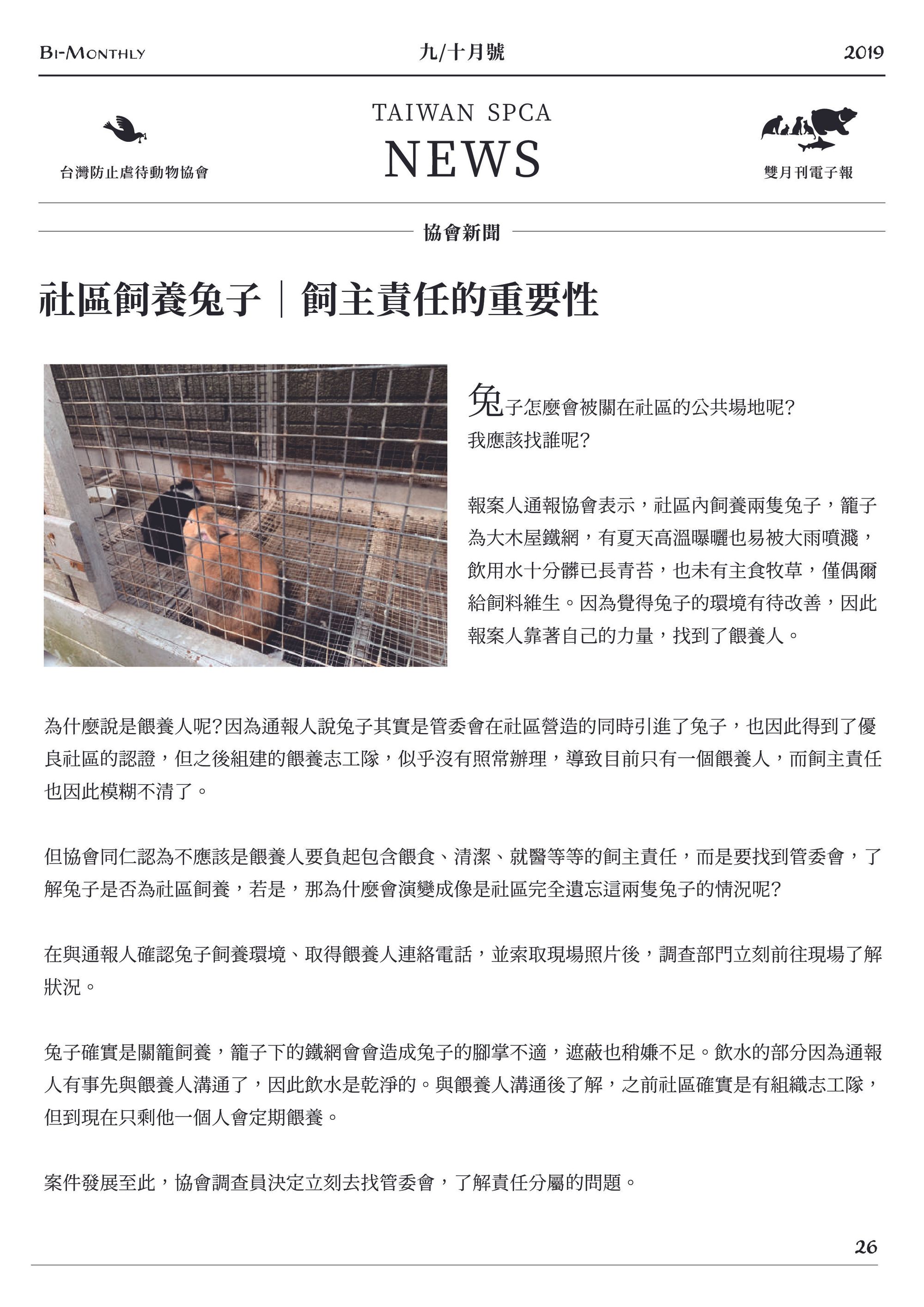 社區飼養兔子 ｜ 飼主責任的重要性