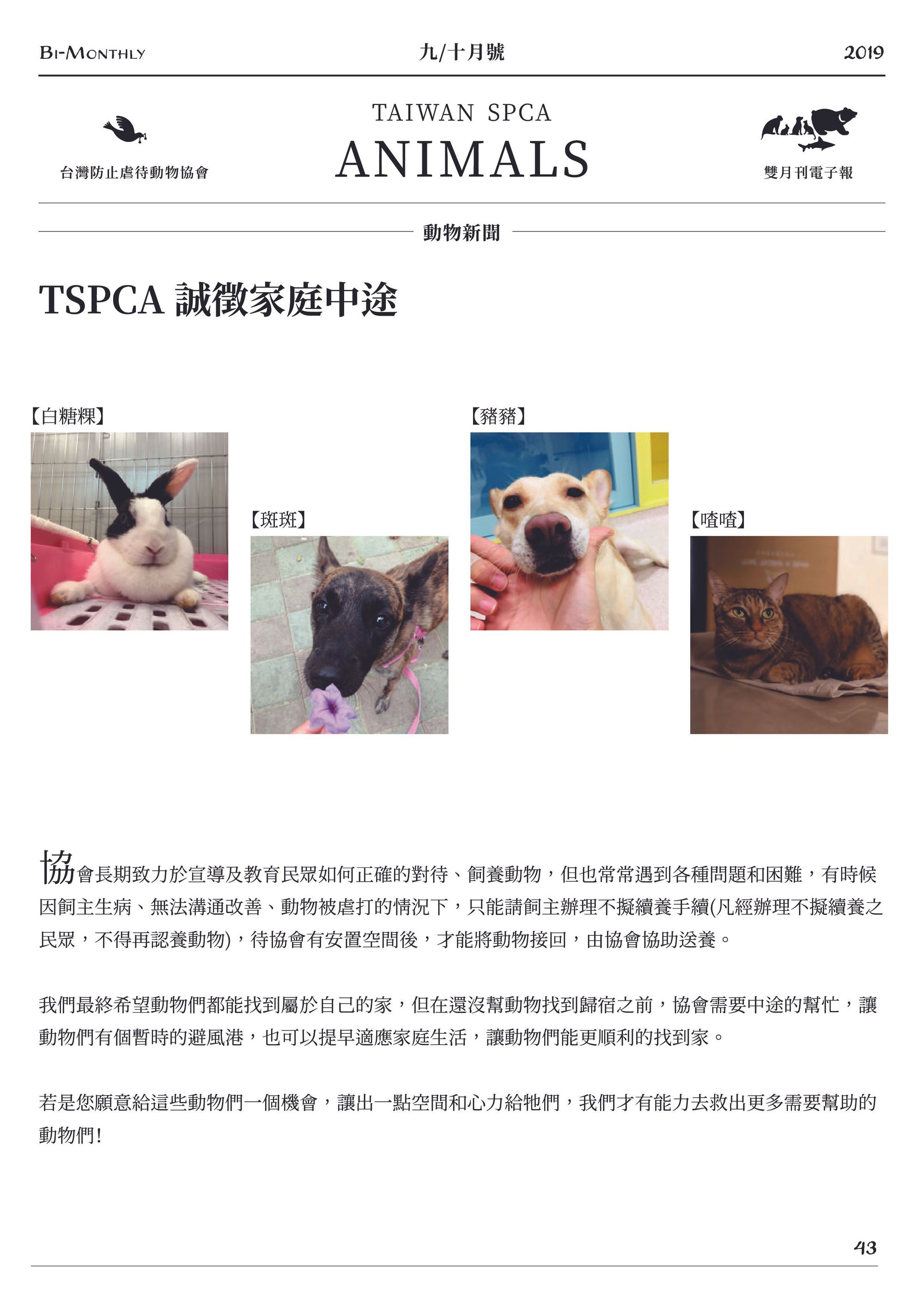 TSPCA 誠徵家庭中途