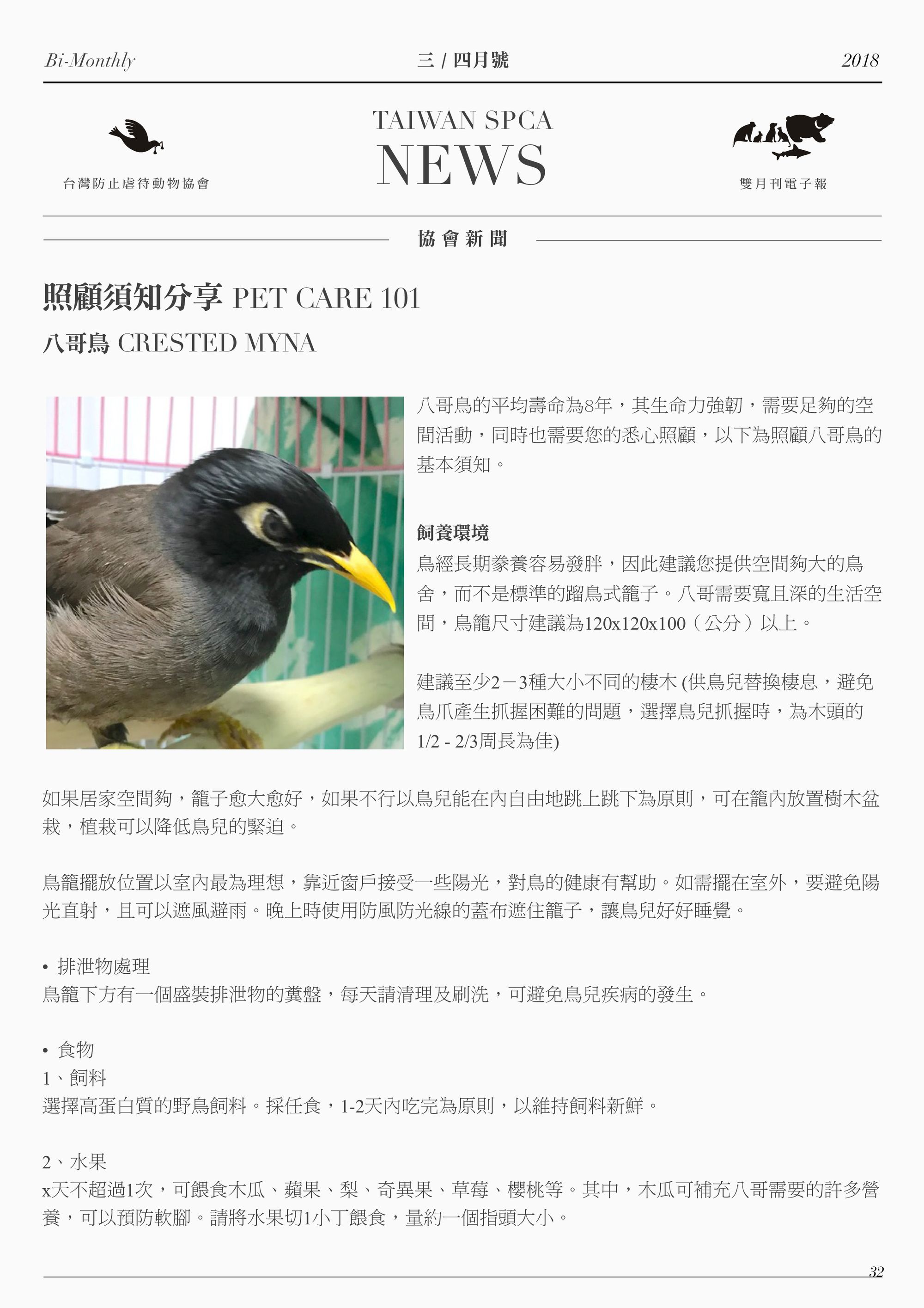 照顧須知分享 PET CARE 101　　 八哥鳥 CRESTED MYNA