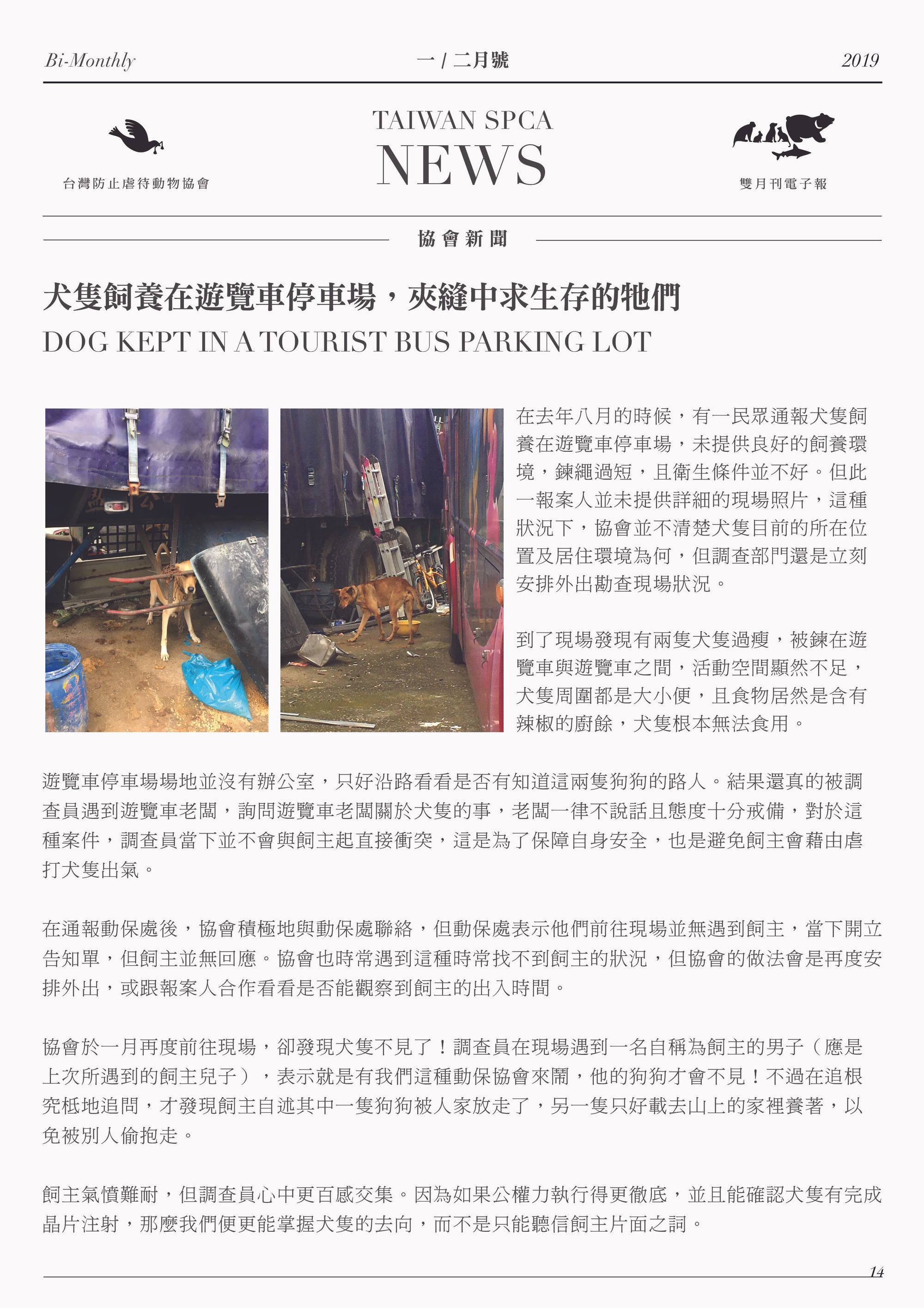 犬隻飼養在遊覽車停車場，夾縫中求生存的牠們