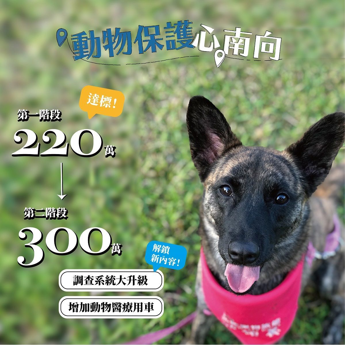 TSPCA 動物保護心南向募資達標！解鎖我們的下一步！