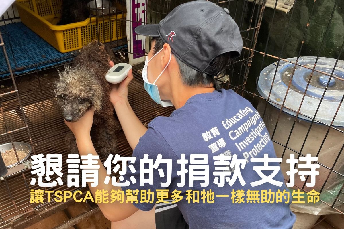 Taiwan SPCA 懇請您的捐款支持！