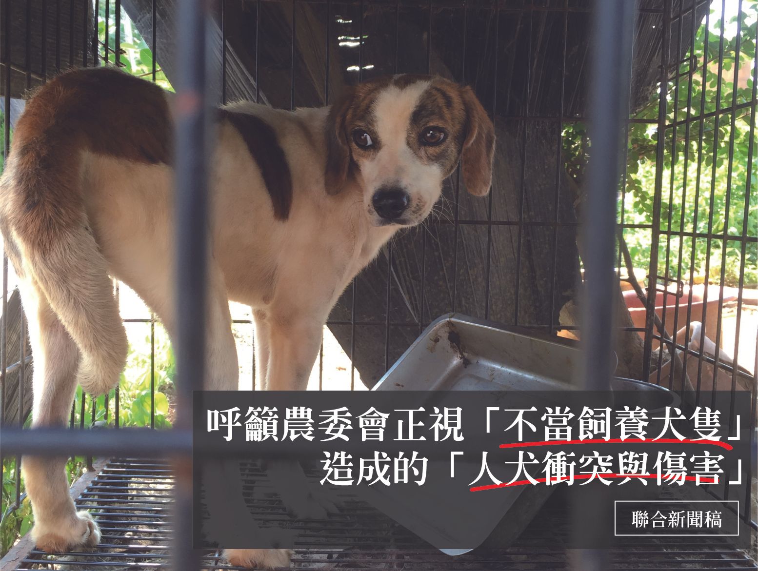 [新聞稿]呼籲農委會正視「不當飼養犬隻」造成的「人犬衝突與傷害」