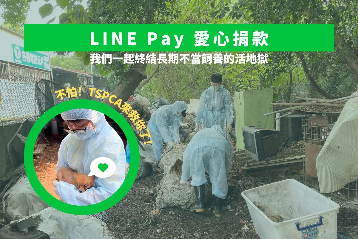 TSPCA X LINE Pay 愛心捐款平台
一起終結長期不當飼養的活地獄