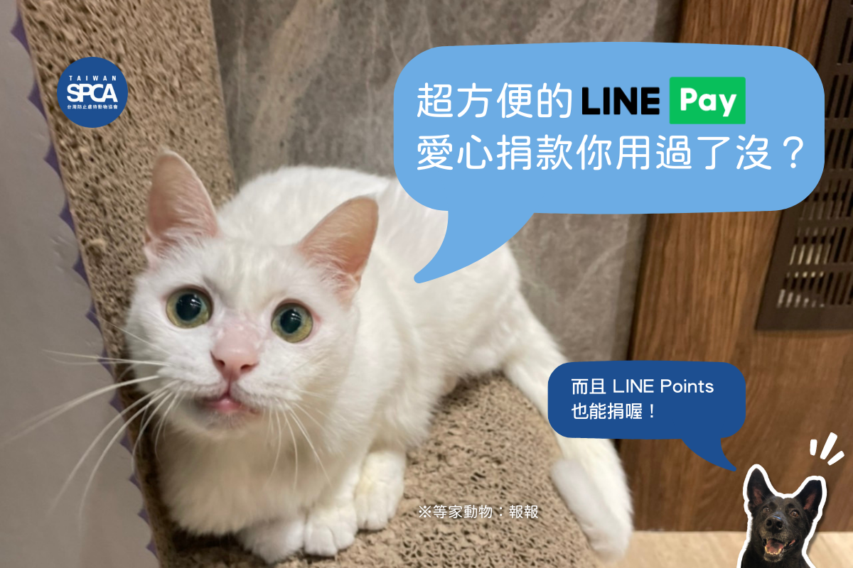 超方便的LINE Pay愛心捐款平台