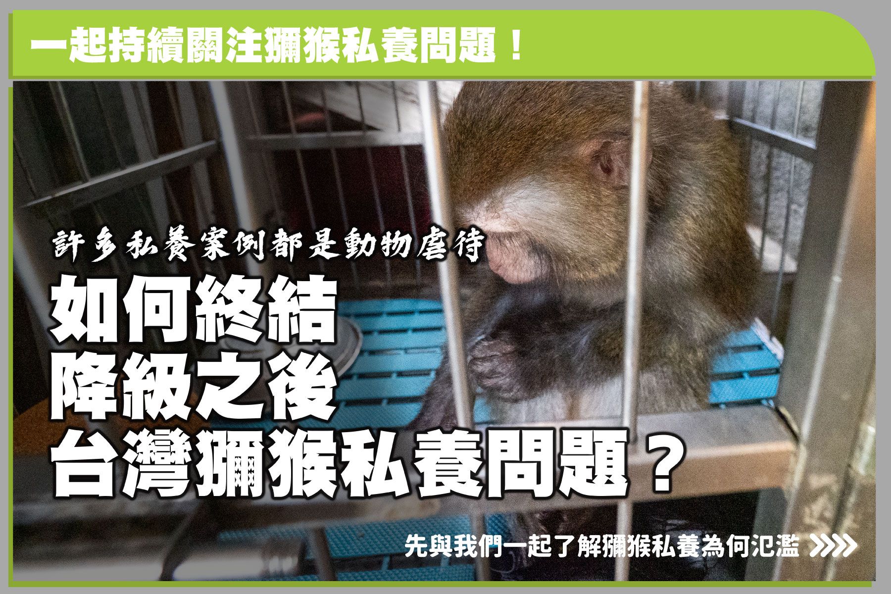 議題懶人包｜如何終結台灣獼猴降級後的私養問題