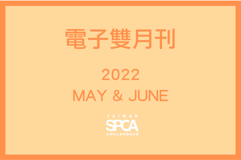 電子雙月刊 MAY & JUN 2022