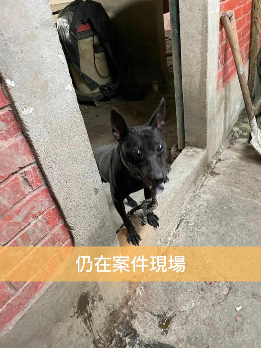 歐瑞歐