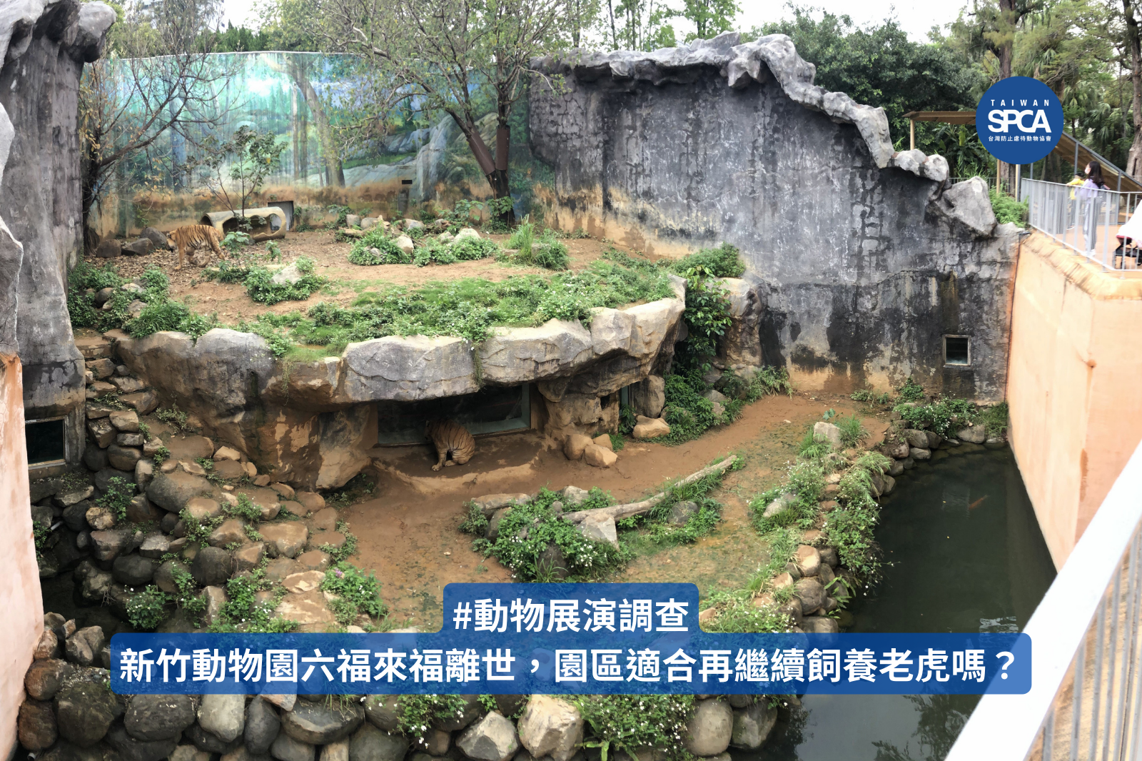新竹動物園六福來福離世，園區適合再繼續飼養老虎嗎？