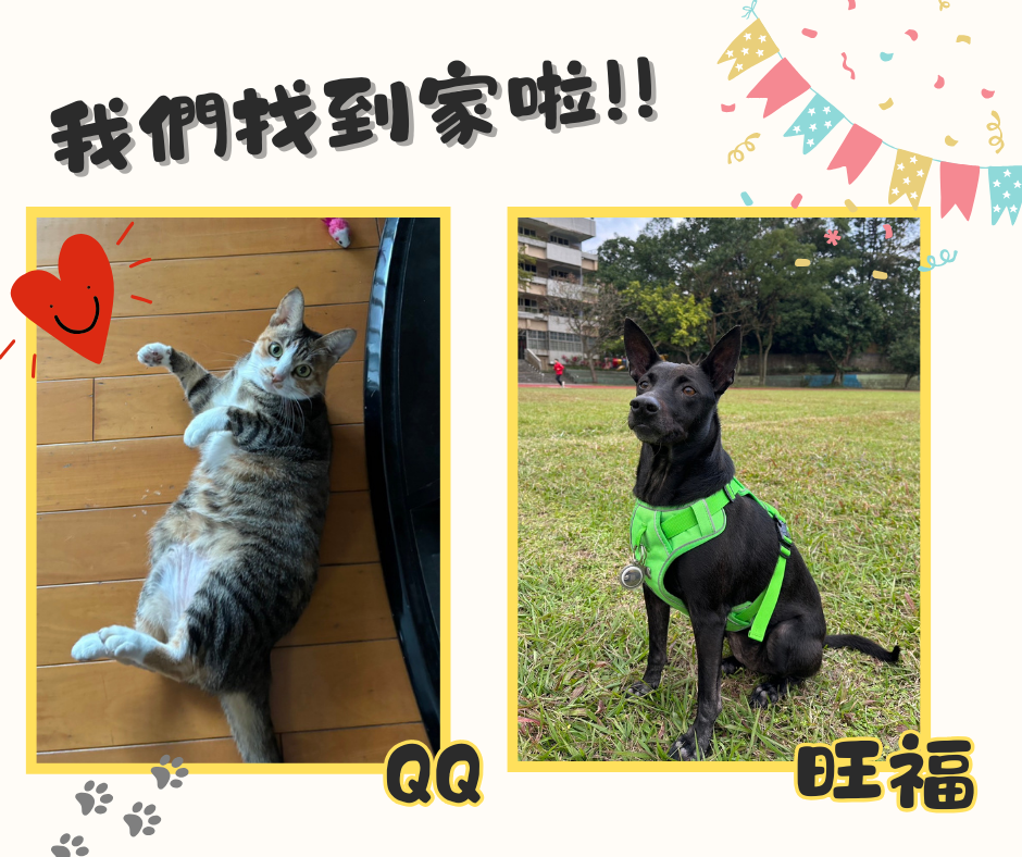 QQ、旺福找到家啦!!