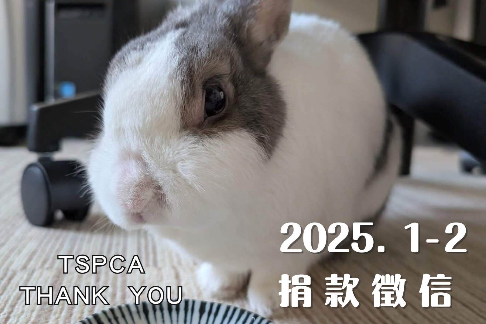 【捐款徵信】2025.1-2