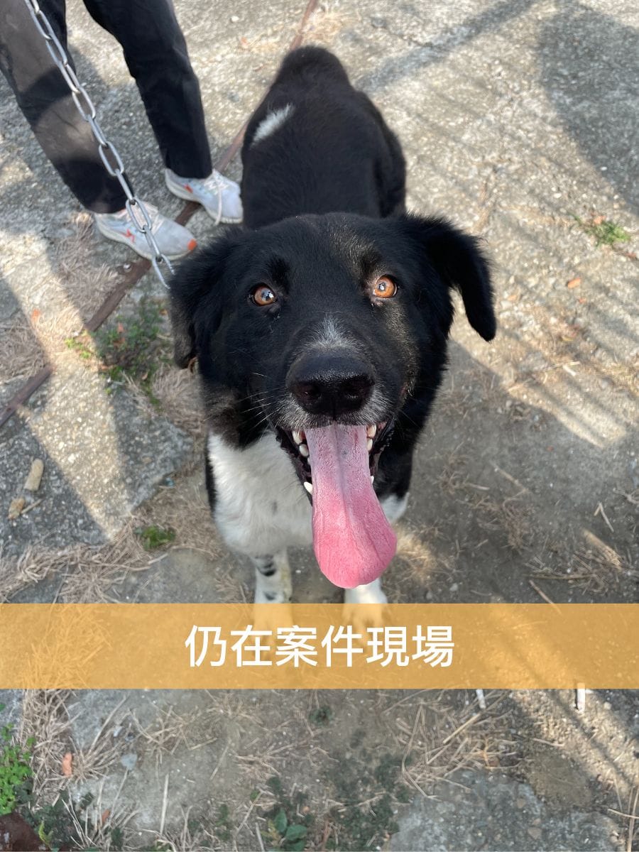 台南Money