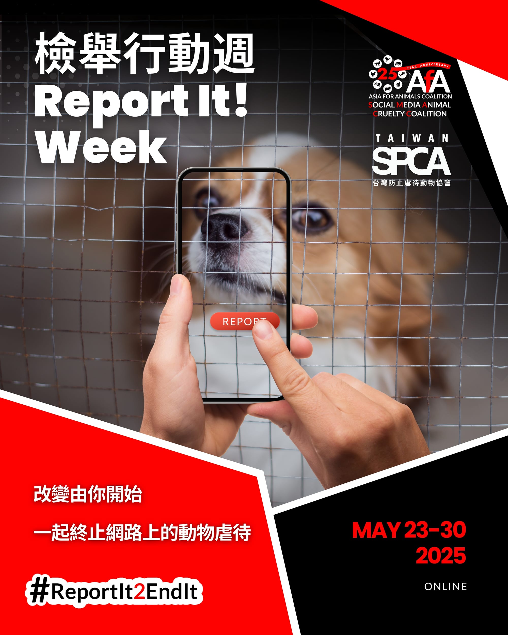 社群動物虐待影音檢舉行動週(5/23-5/30)