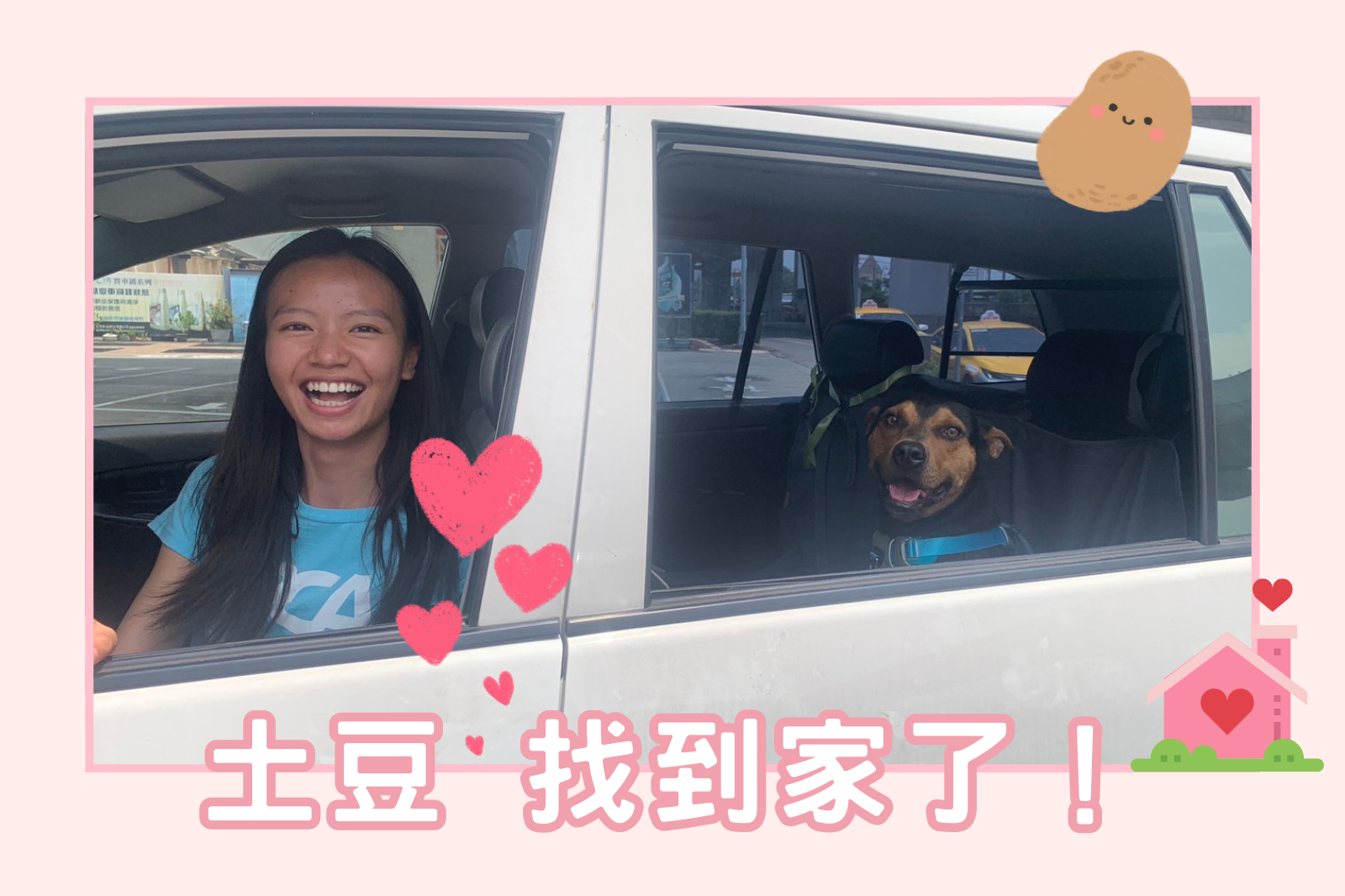 領養案件動物 － 土豆 找到家了！