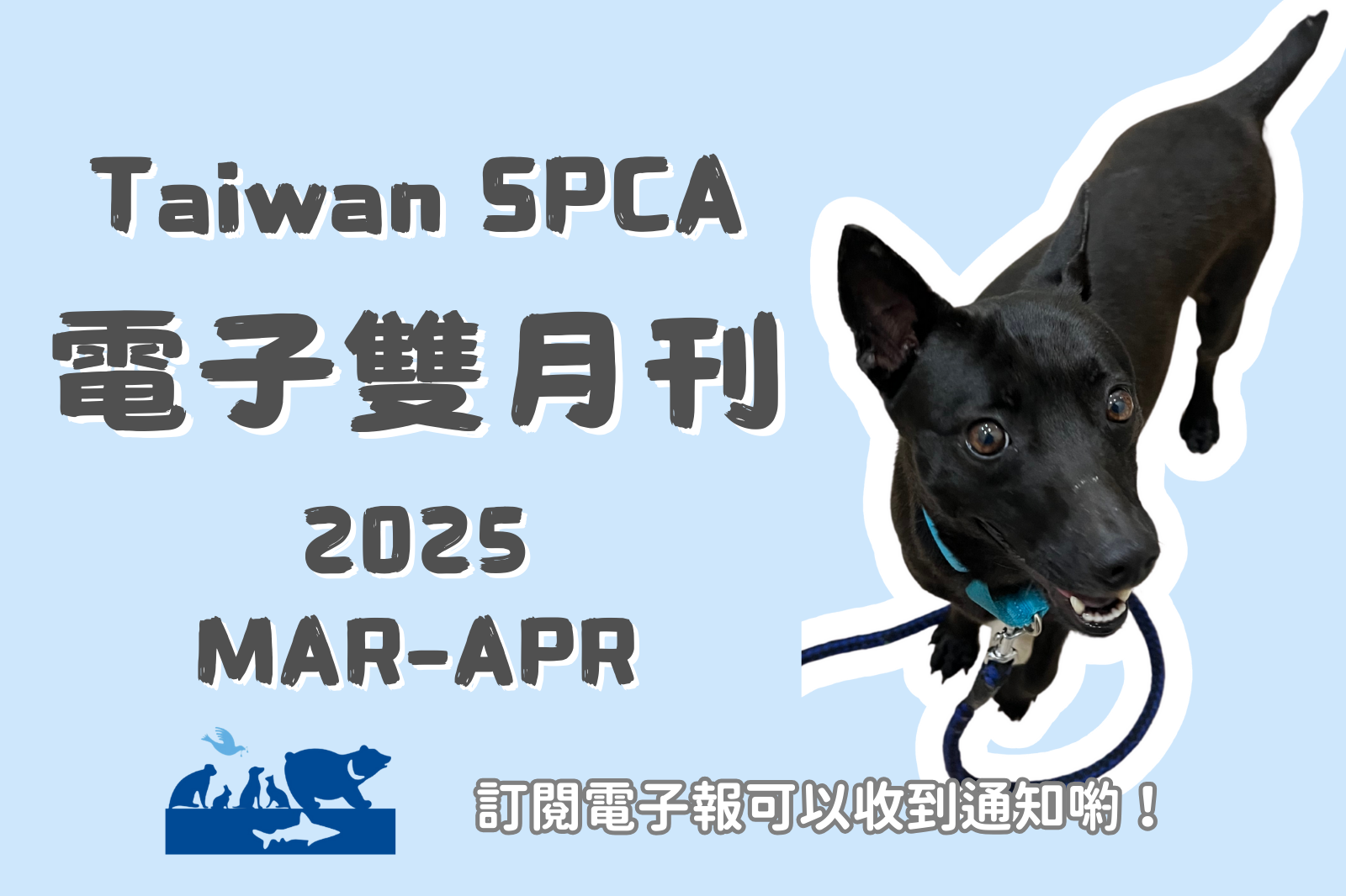 電子雙月刊 MAR & APR 2025