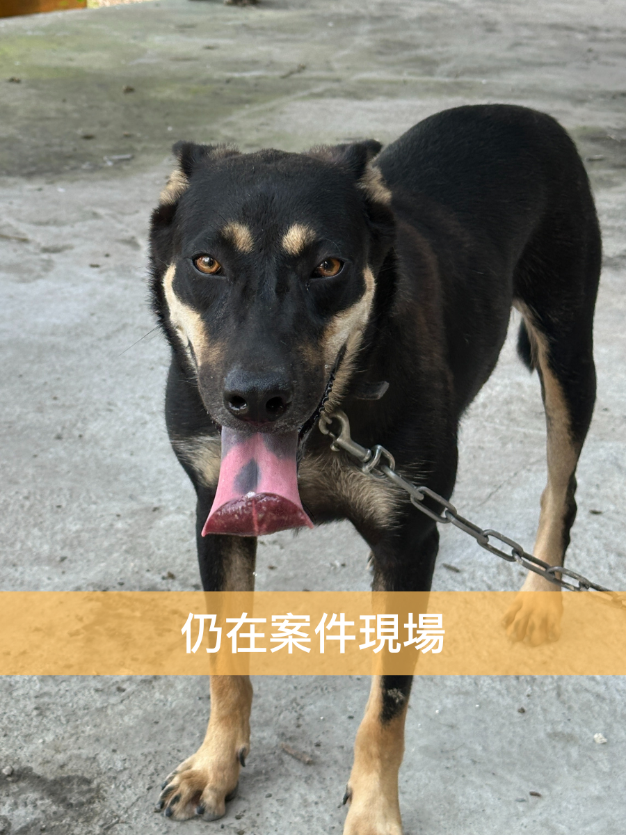 短短