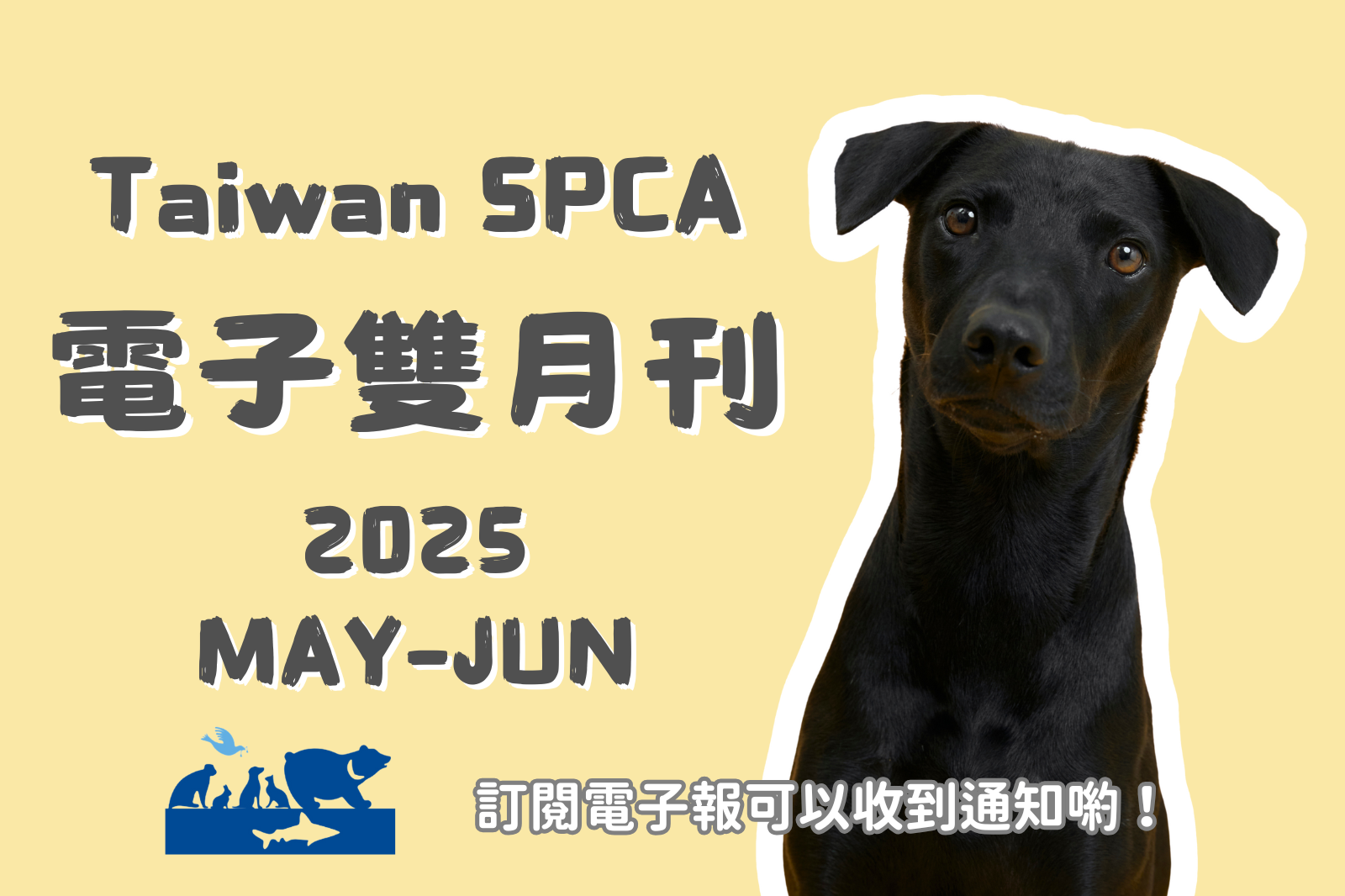 電子雙月刊 MAY & JUN 2025