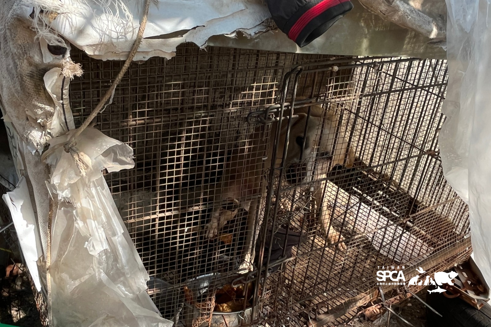 三年沒有放棄，終於迎來改變