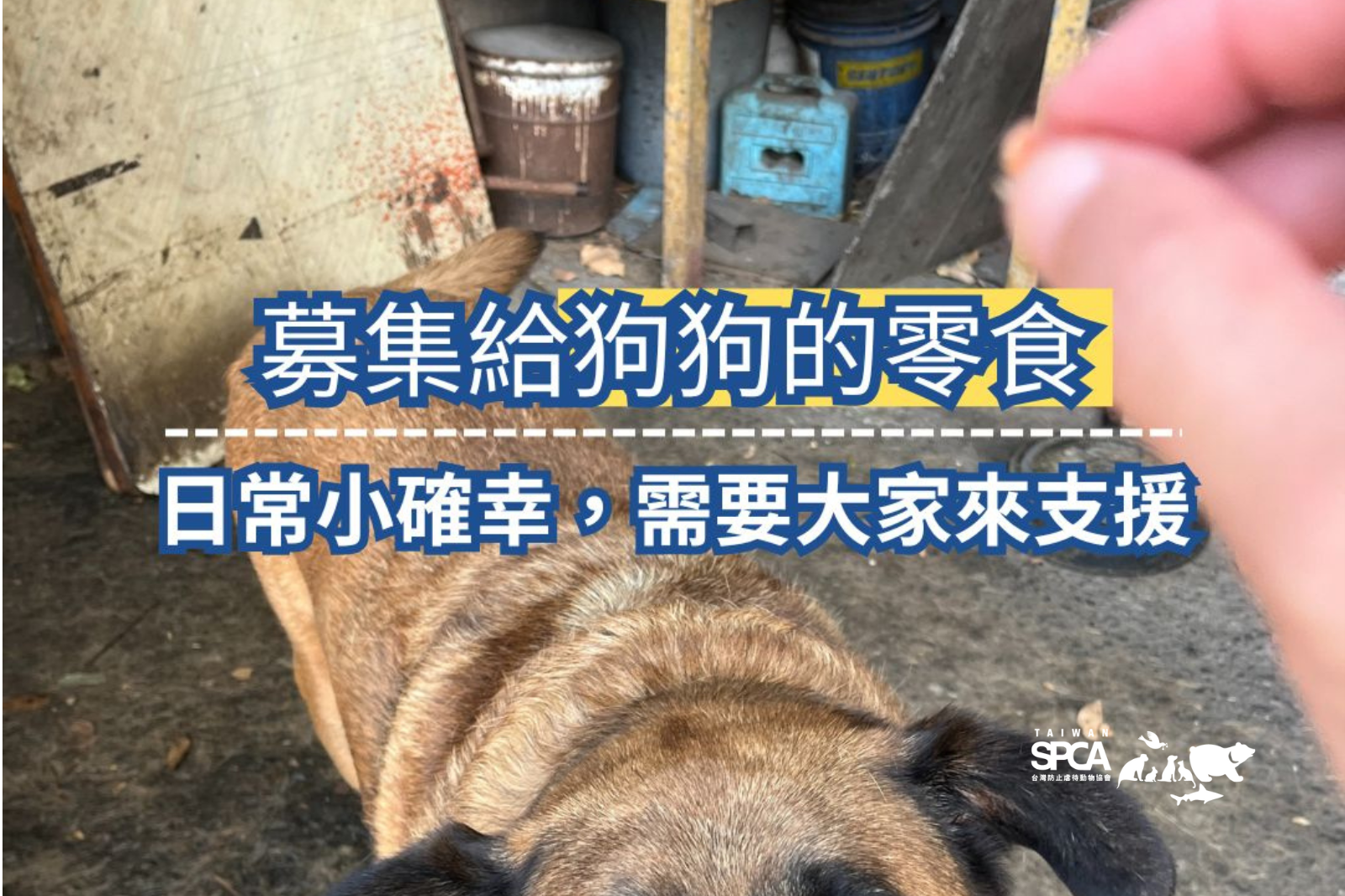 零食在手，希望無窮