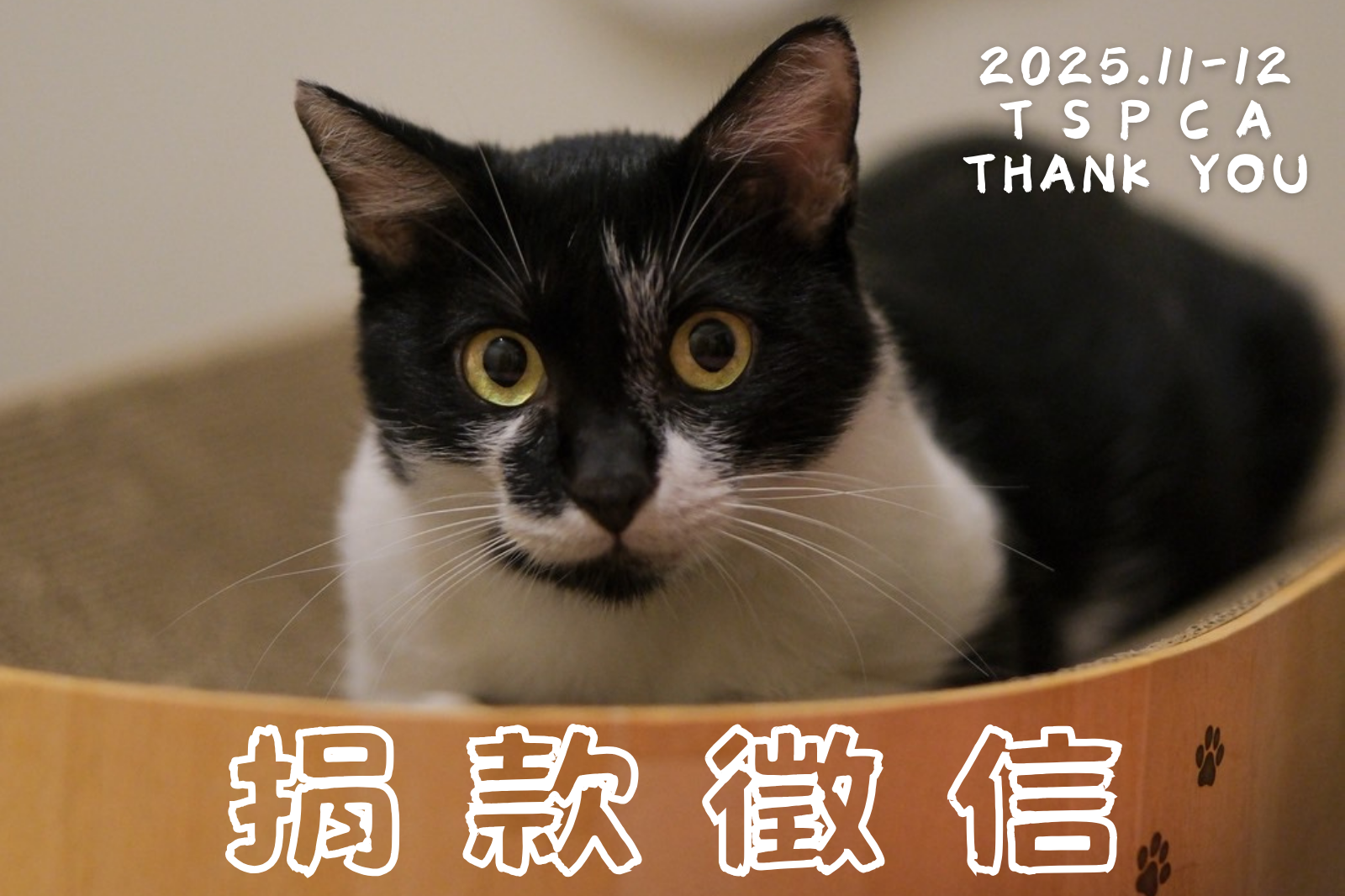 【捐款徵信】2025.11-12