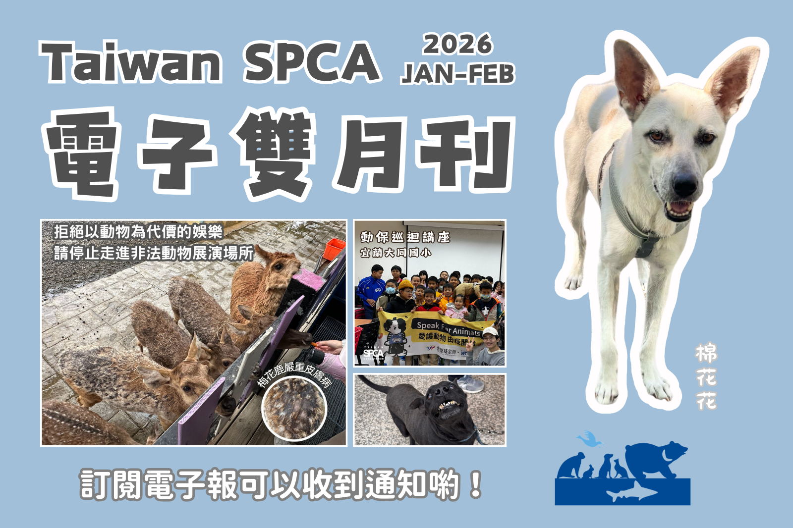 電子雙月刊 JAN & FEB 2026