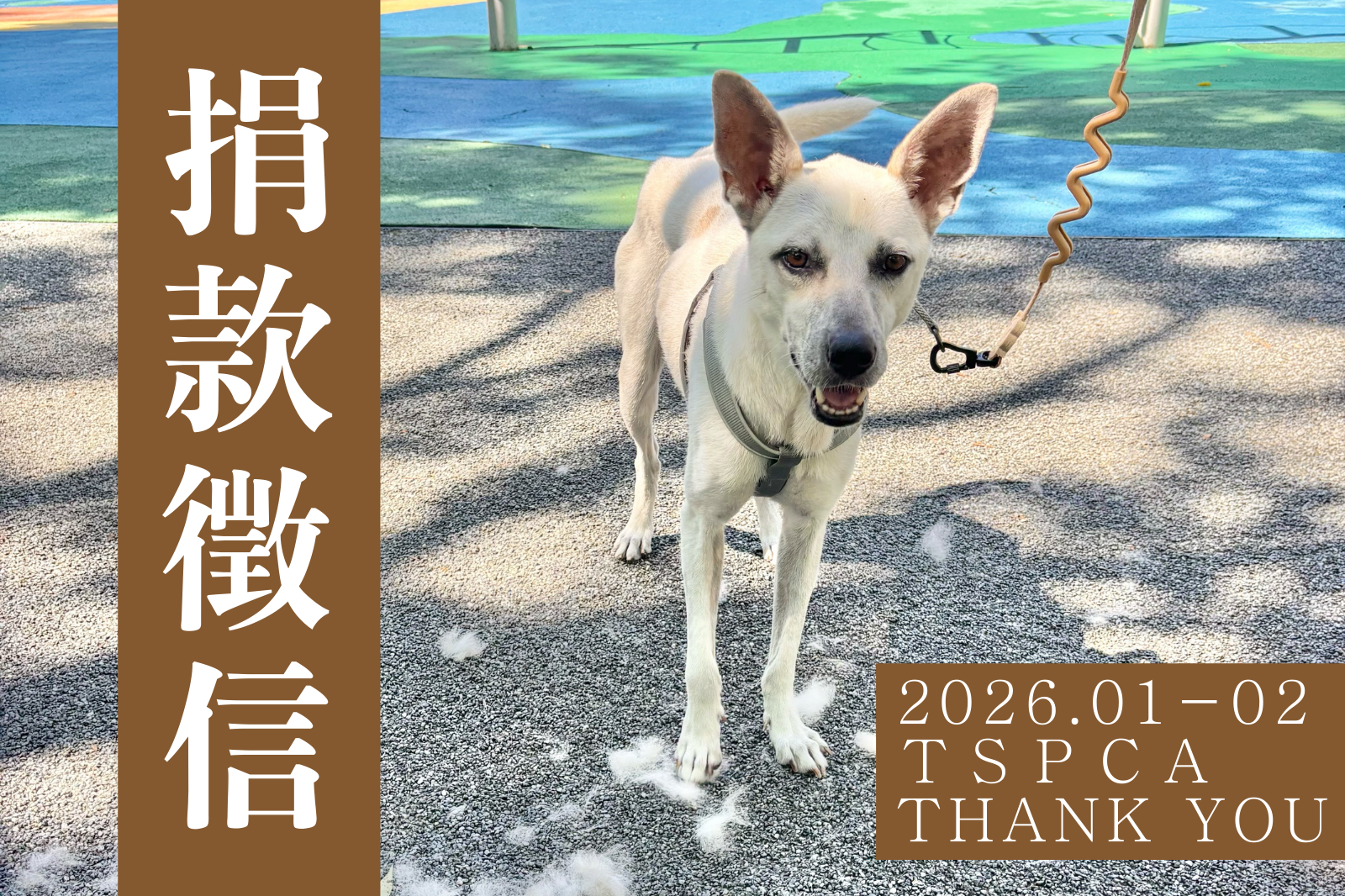 【捐款徵信】2026.01-02