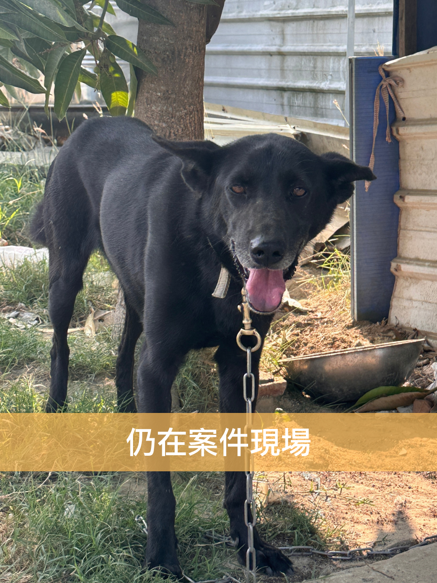 福氣