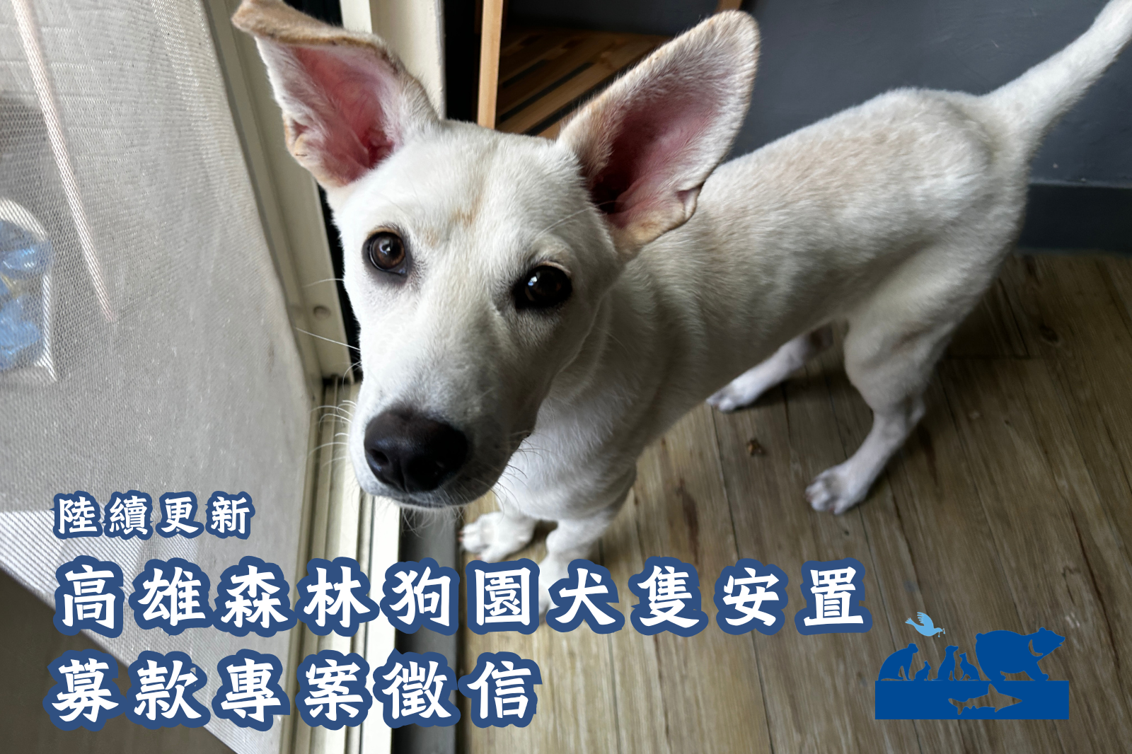 (陸續更新中)高雄美濃森林狗園犬隻救援安置捐款徵信