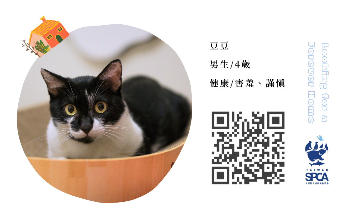 動物送養包裝貼紙認購