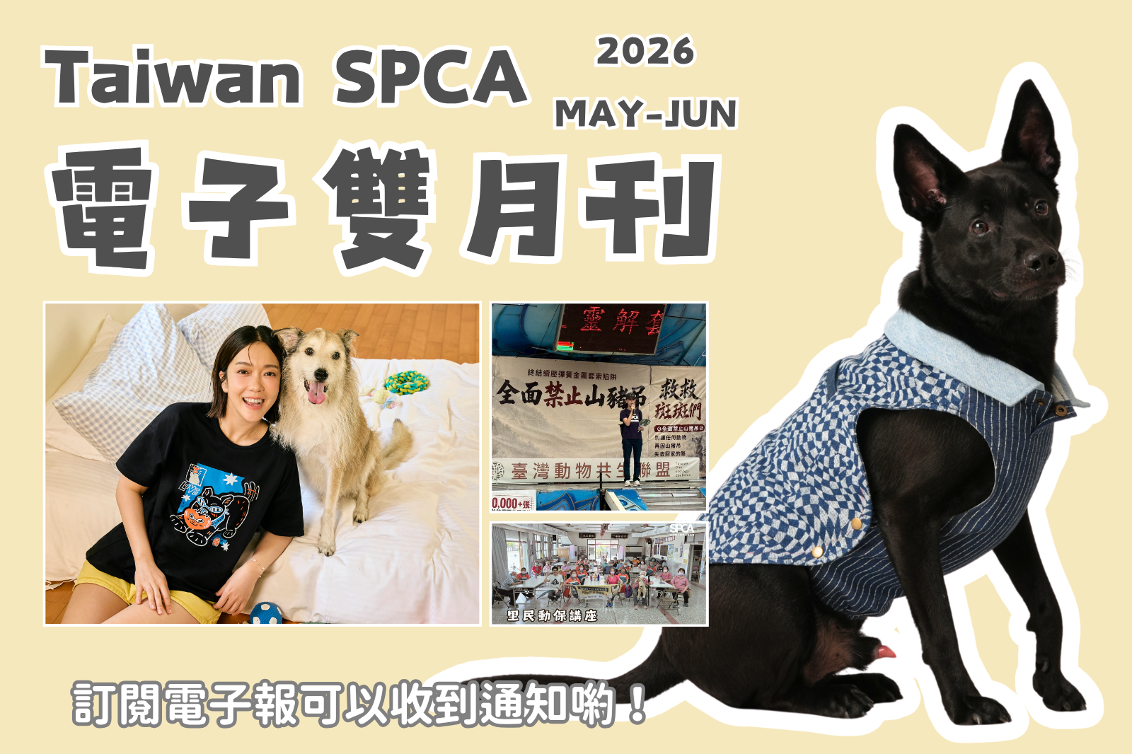 電子雙月刊 MAY & JUN 2026