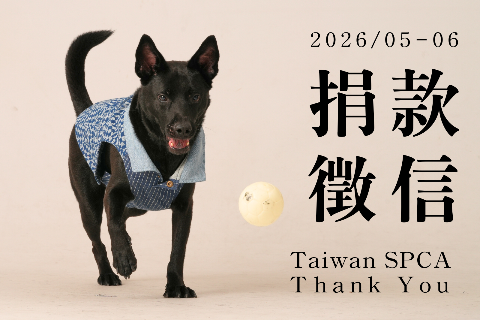 【捐款徵信】2026.05-06