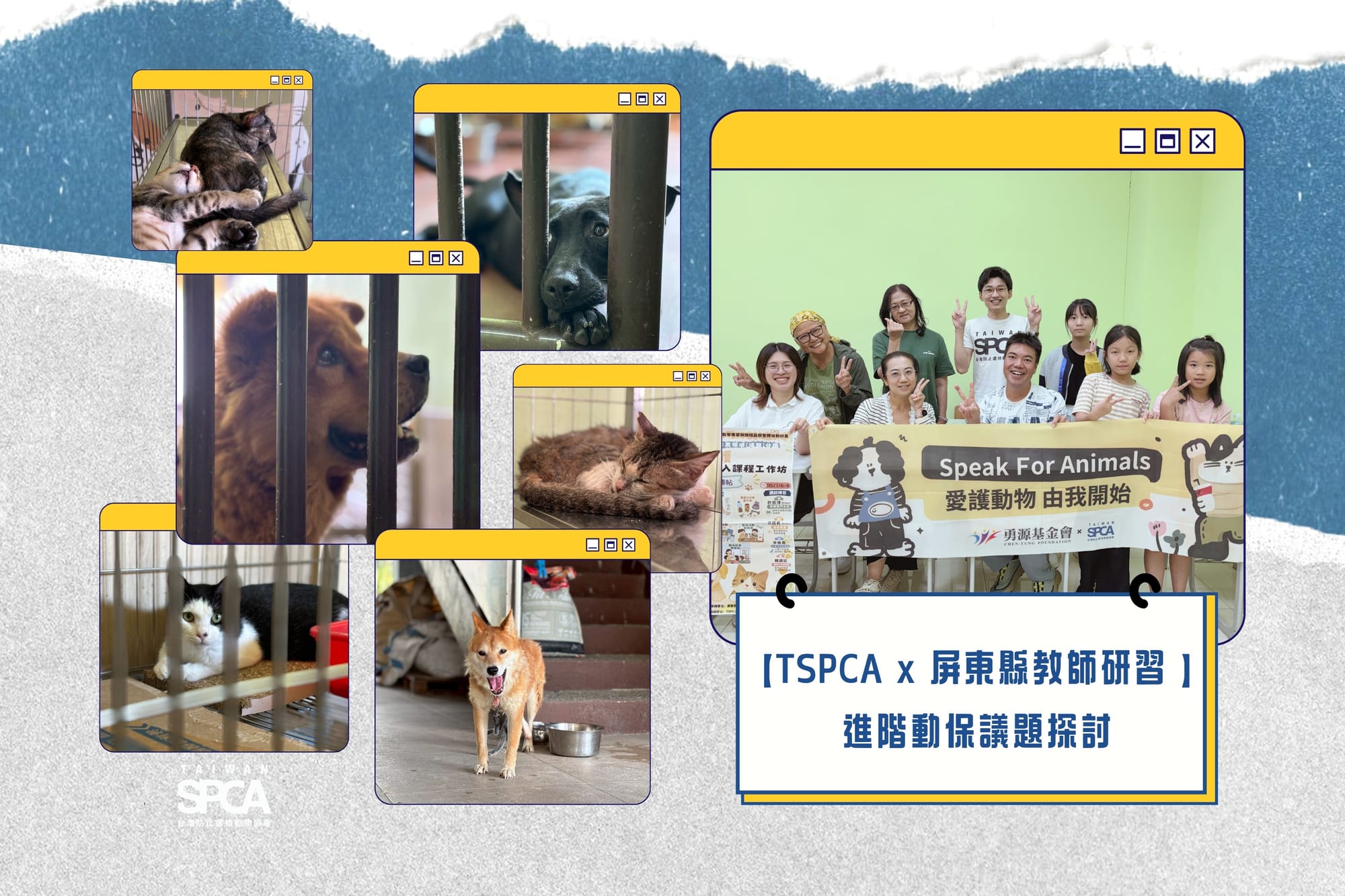 【TSPCA x 屏東縣教師研習 】進階動保議題探討