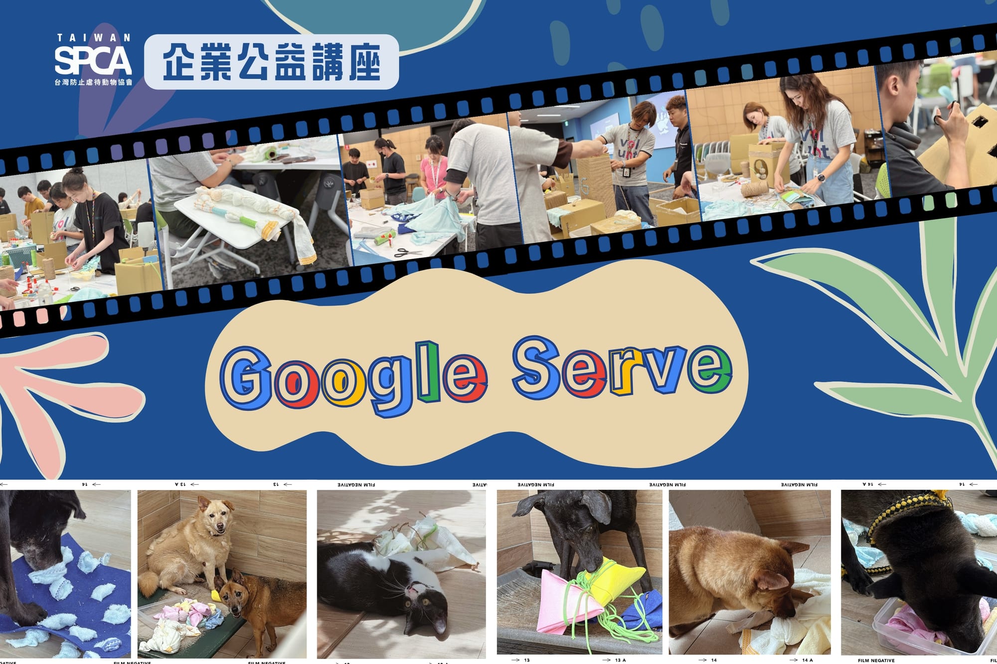 【Google Serve x TSPCA 企業公益講座】用「手作豐富化玩具」陪伴收容所毛孩