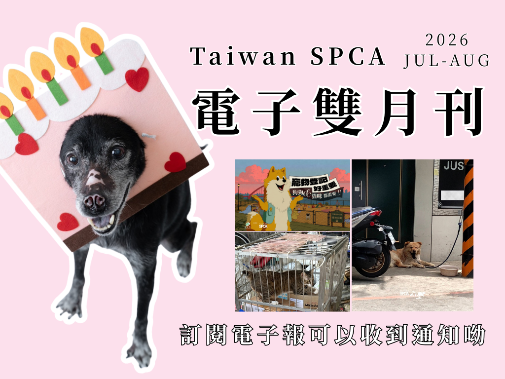 電子雙月刊 JUL & AUG 2026