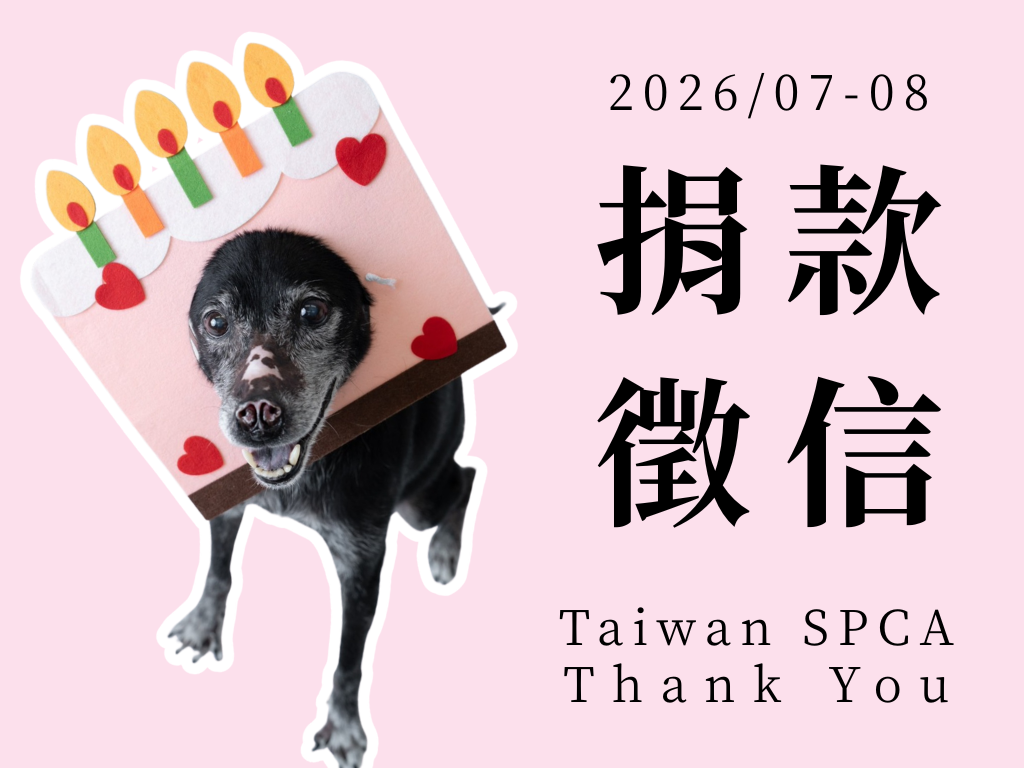 【捐款徵信】2026.07-08