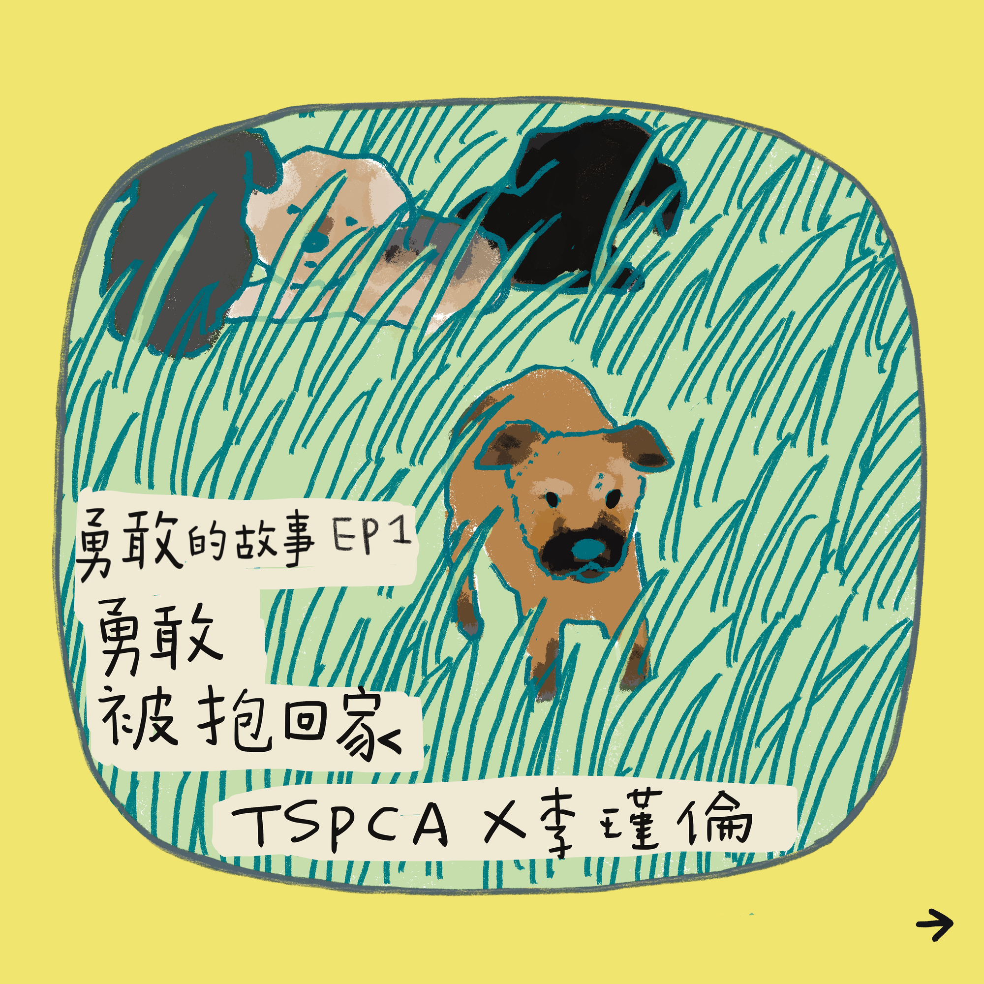 世界動物日【勇敢的故事-八天系列故事】